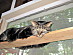 View full size picture