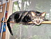 View full size picture