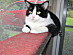 View full size picture