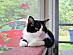 View full size picture