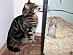 View full size picture