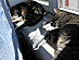 View full size picture