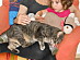 View full size picture