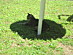 View full size picture