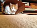 View full size picture