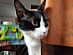 View full size picture