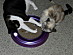 View full size picture