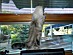 View full size picture