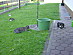 View full size picture