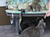 View full size picture