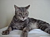 View full size picture