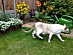 View full size picture