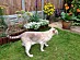 View full size picture