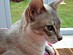 View full size picture