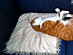 View full size picture