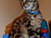 View full size picture