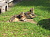 View full size picture