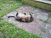 View full size picture