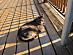 View full size picture