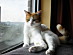 View full size picture