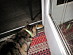 View full size picture