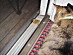 View full size picture