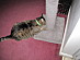 View full size picture