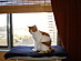 View full size picture