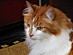 View full size picture