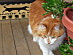 View full size picture