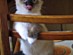View full size picture