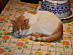 View full size picture