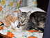 View full size picture
