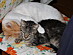 View full size picture