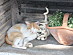 View full size picture