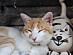View full size picture