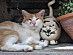 View full size picture