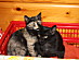 View full size picture