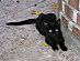 View full size picture