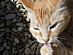 View full size picture