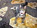 View full size picture