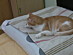 View full size picture