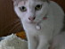 View full size picture