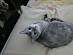 View full size picture