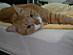 View full size picture