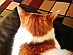 View full size picture