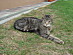 View full size picture