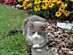 View full size picture
