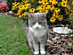 View full size picture