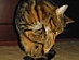 View full size picture